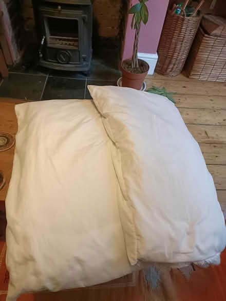 Photo of free Anti allergy pillows (Easton BS5) #2
