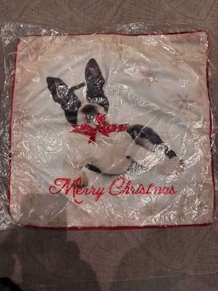 Photo of free Dog pillow (Thornton Heath CR7) #1