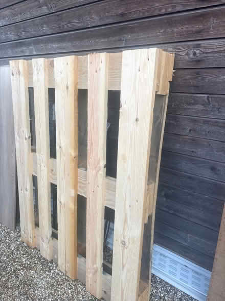 Photo of free Pallet (Ba1) #1