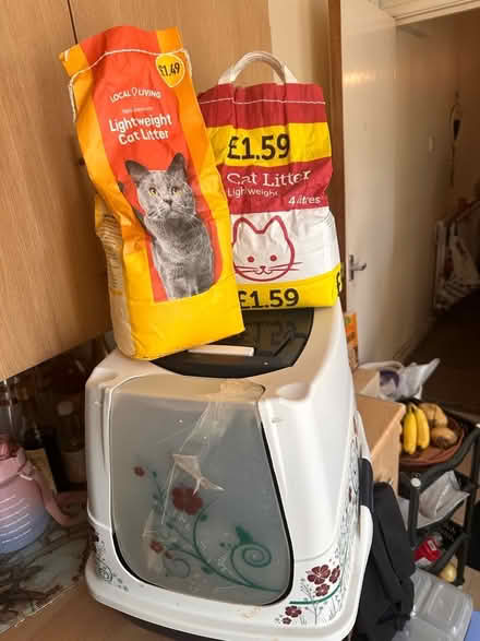 Photo of free I’m giving away a cat litres and toilet (Handsworth B21) #2