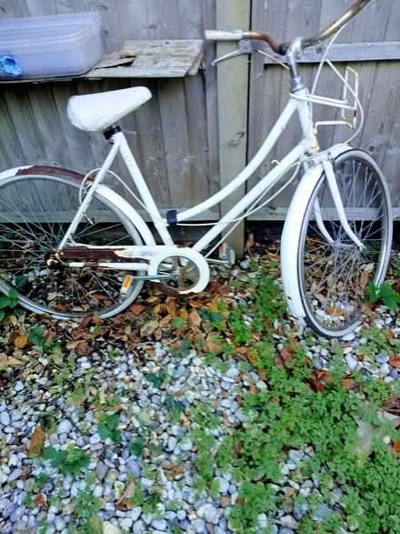 Photo of free Raleigh Caprice ladies bicycle (Polegate BN26) #1