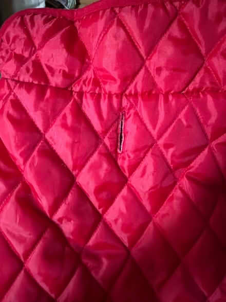 Photo of free 2 x dog jackets (Spondon DE21) #4