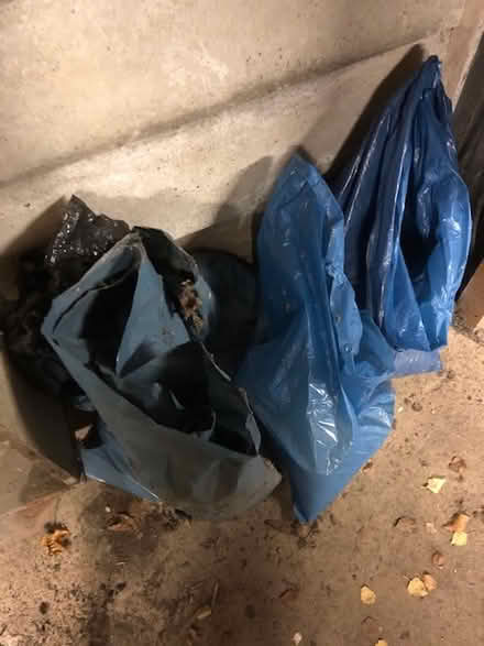 Photo of free Sandpit Sand (Edgbaston B15) #1