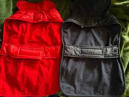 Photo of free 2 x dog jackets (Spondon DE21) #2