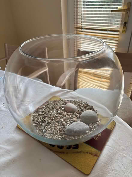 Photo of free Fish bowl (Stonehaven) #1