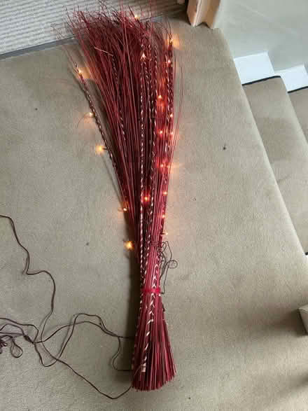 Photo of free Decorative grasses with lights (City of Bristol BS2) #2