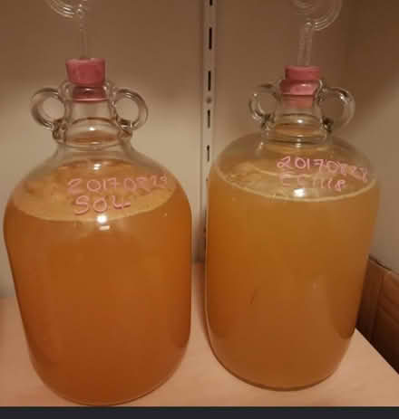 Photo of Demijohns (Acocks Green B27) #1