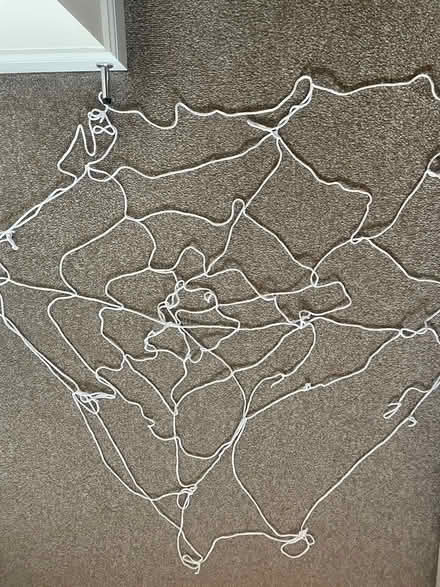 Photo of free Large Halloween Spider web (Appleton WA4) #1