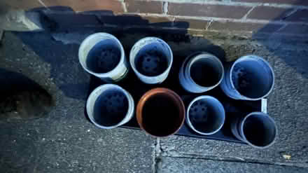 Photo of free Lots of plastic plant pots (Streatham Hill SW2) #1