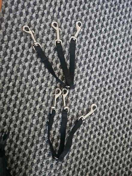 Photo of free DOG items (CROWBOROUGH Tn6) #3