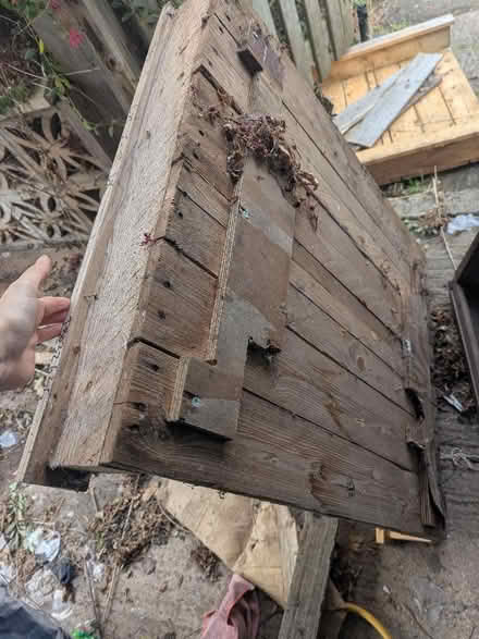 Photo of free 3 brilliant pallets for upcycling (Frenchay BS16) #2
