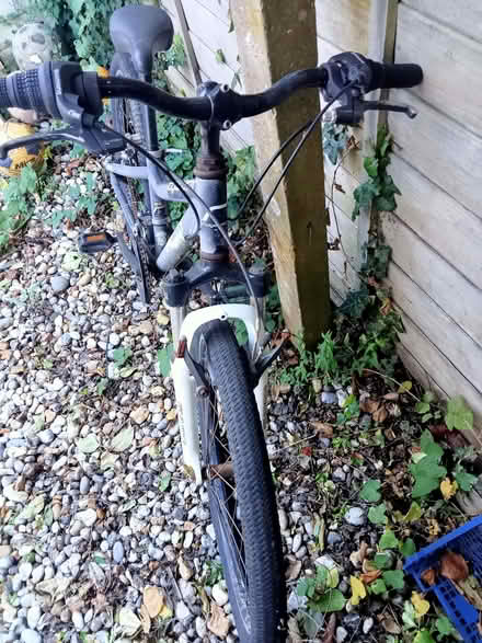 Photo of free BMX . Ridgeback (Polegate BN26) #2