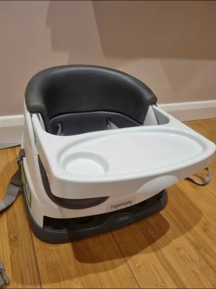 Photo of free Ingenuity Baby Seat (South Norwood SE25) #2