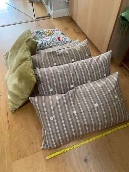 Photo of free A selection of cushions (Runcton PO20) #1