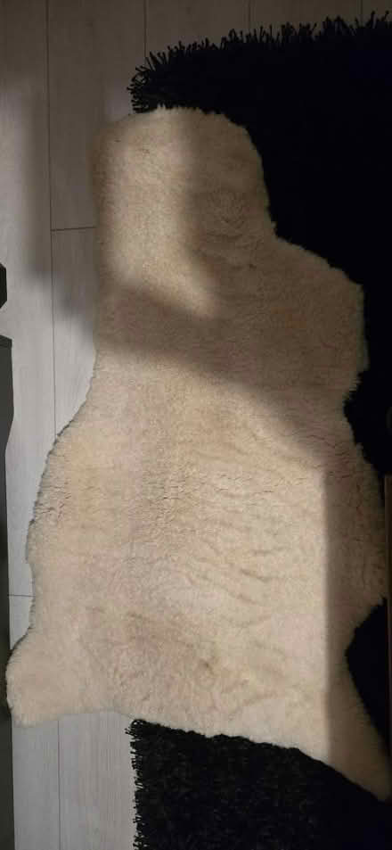 Photo of free Genuine sheepskin rug (Trowbridge BA14) #1