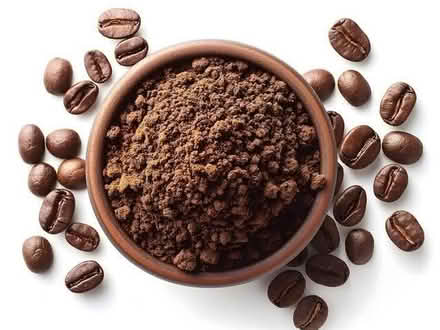 Photo of Ground Coffee (Carlton Hill BN2) #1