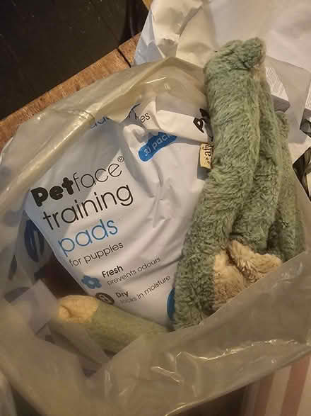 Photo of free Bag of puppy pads and toys (Lambeth SW8) #1