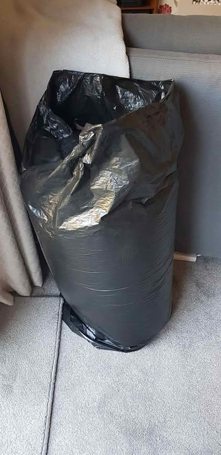 Photo of free Polystyrene Balls (Gosport PO13) #1