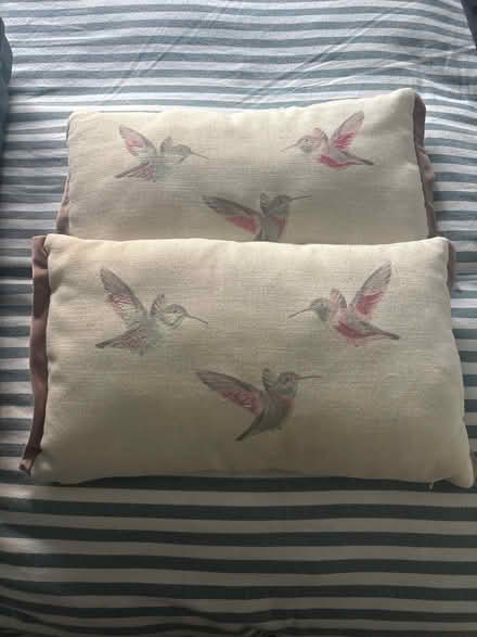 Photo of free 2 pillows (Win) #1
