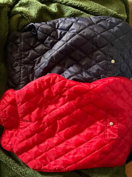 Photo of free 2 x dog jackets (Spondon DE21) #3