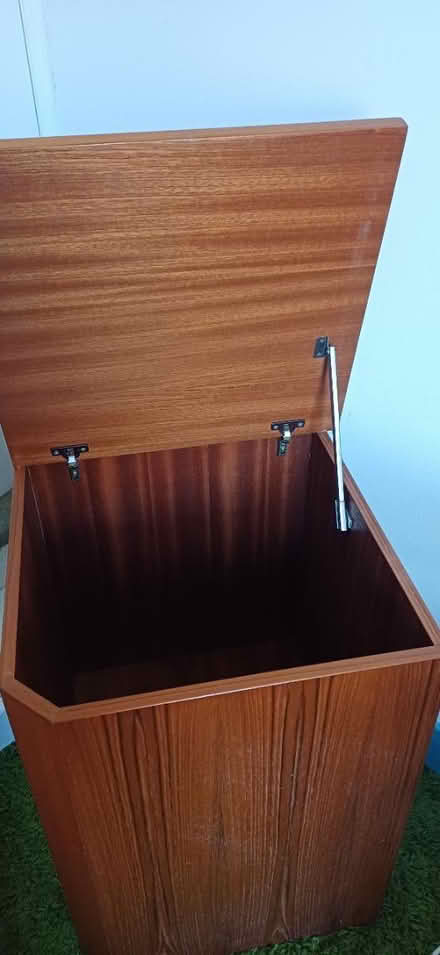Photo of free Hinged box / basket (Bulverhythe TN38) #3