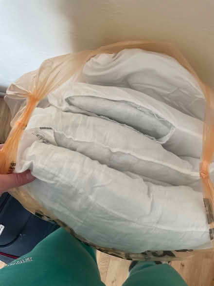 Photo of free 4 well used pillows (Vandyke LU7) #1