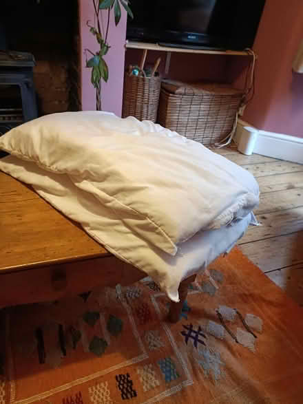 Photo of free Anti allergy pillows (Easton BS5) #1