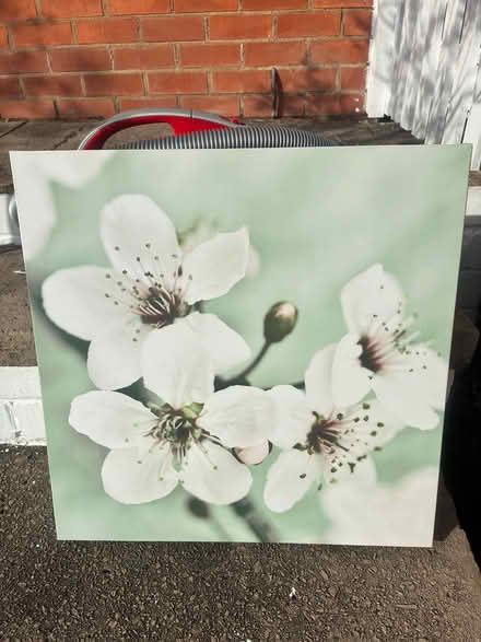 Photo of free Canvas print (Portwood SK1) #1