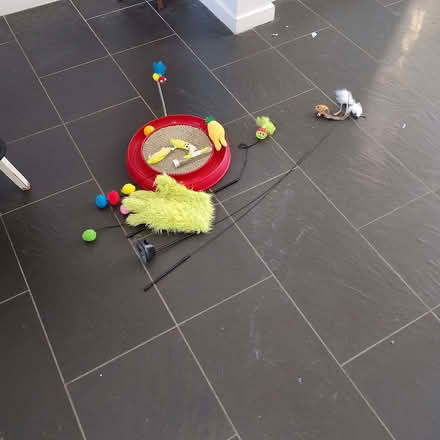 Photo of free Variety of cat toys ..cat nip (Upper Bevendean BN2) #1