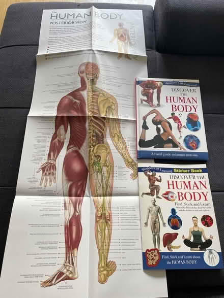Photo of free Human body educational box set (North Road BA2) #3