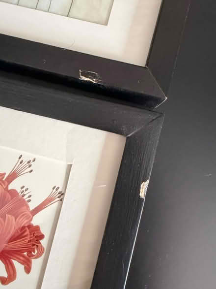 Photo of free 2 IKEA picture frames (Bridgeport, Kitchener) #2