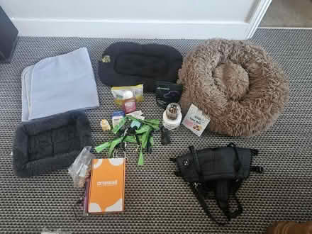 Photo of free DOG items (CROWBOROUGH Tn6) #2