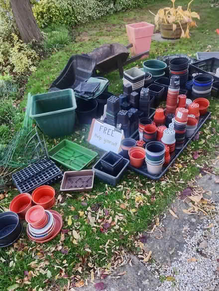 Photo of free Gardening items (Billericay CM4) #1