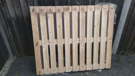 Photo of free Pallet (Chislehurst BR7) #1