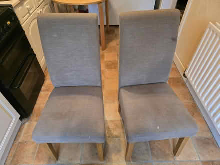 Photo of free Two dining chairs (Glenageary) #1