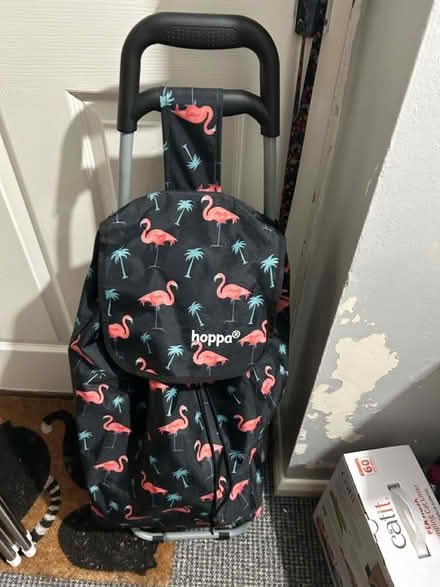 Photo of free Shopping trolley (Old Heath CO2) #1