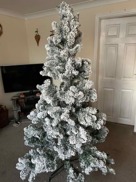 Photo of free 6ft Christmas tree (Clippesby NR29) #1
