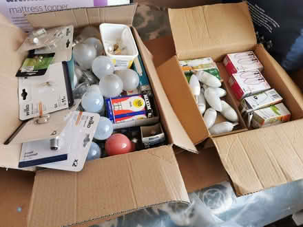 Photo of free Electric light bulbs various (West Hitchin SG5) #1
