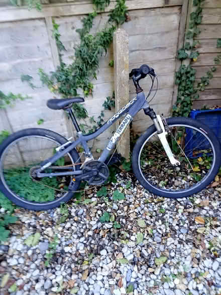 Photo of free BMX . Ridgeback (Polegate BN26) #1