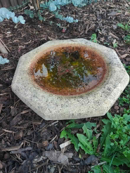 Photo of free Stone bird bath (Derby DE24) #4