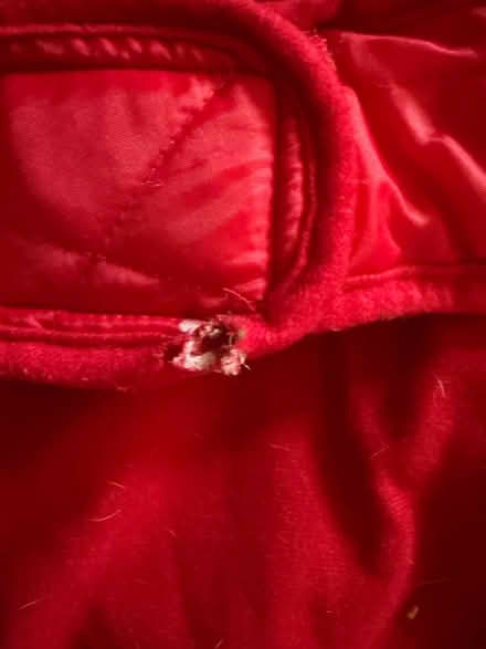 Photo of free 2 x dog jackets (Spondon DE21) #1