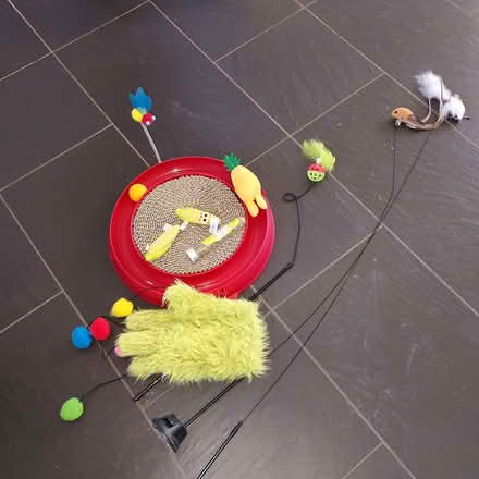 Photo of free Variety of cat toys ..cat nip (Upper Bevendean BN2) #2