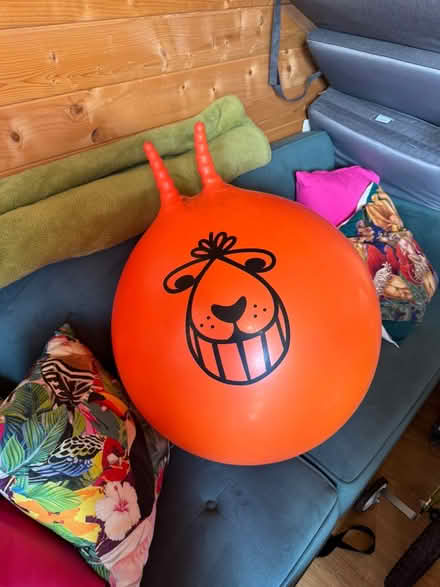 Photo of free Giant Space hopper (Sawbridgeworth) #1