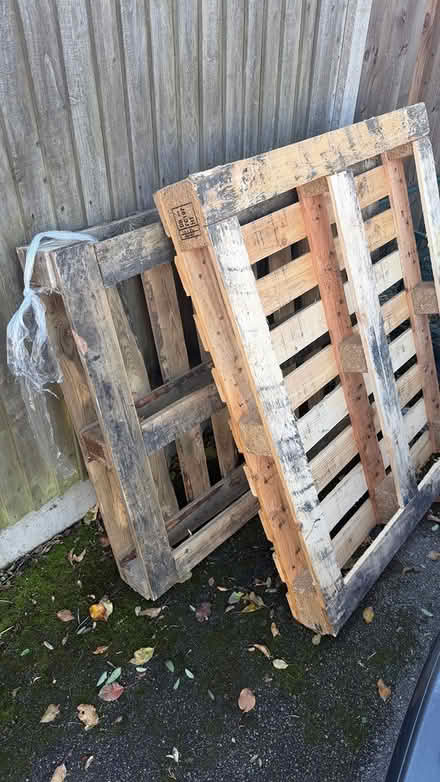 Photo of free Pallets x2 (Arlesey SG15) #1