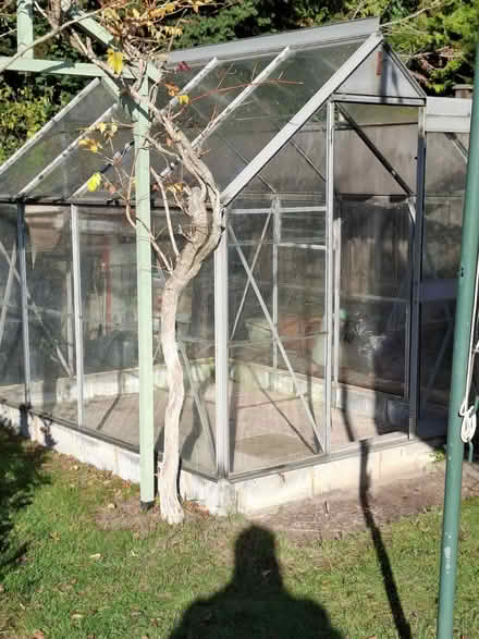 Photo of free Greenhouse (New barn DA3 7NB) #3
