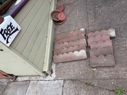 Photo of free Scalloped Brick garden edging (Glenview, Oakland) #2