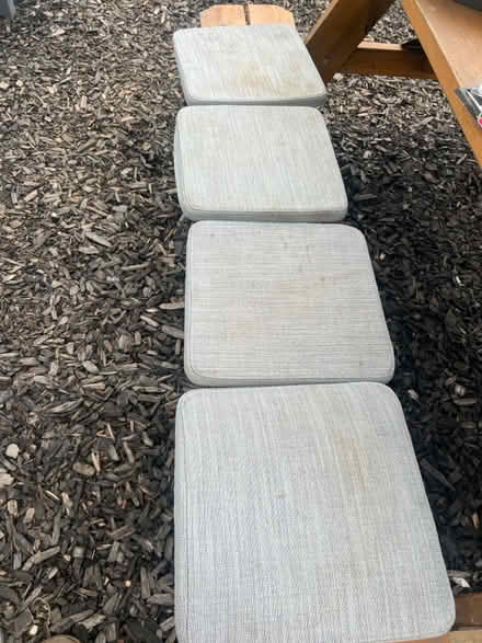 Photo of free 4 seat cushions 14 x 14 (Hawthorne) #2