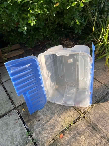 Photo of free Plastic Storage Box (Charlton OX12) #1
