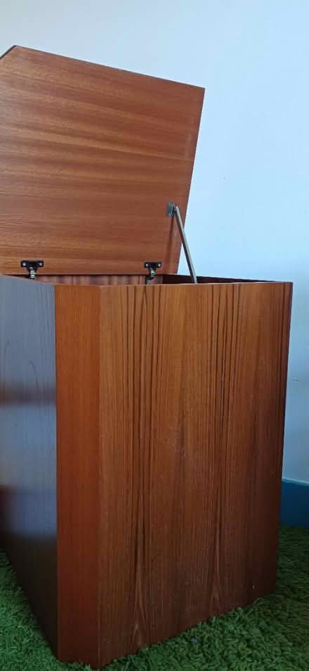 Photo of free Hinged box / basket (Bulverhythe TN38) #2