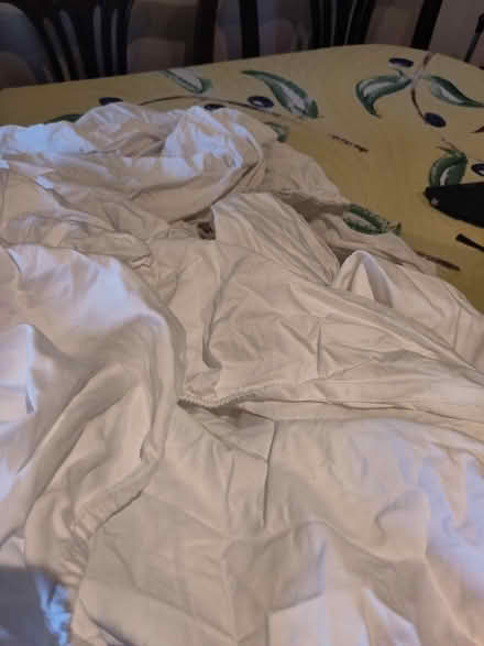 Photo of free White fitted single sheets (South Quay E14) #1